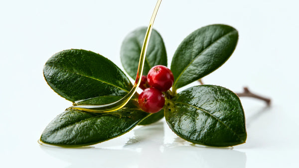 Wintergreen Oil