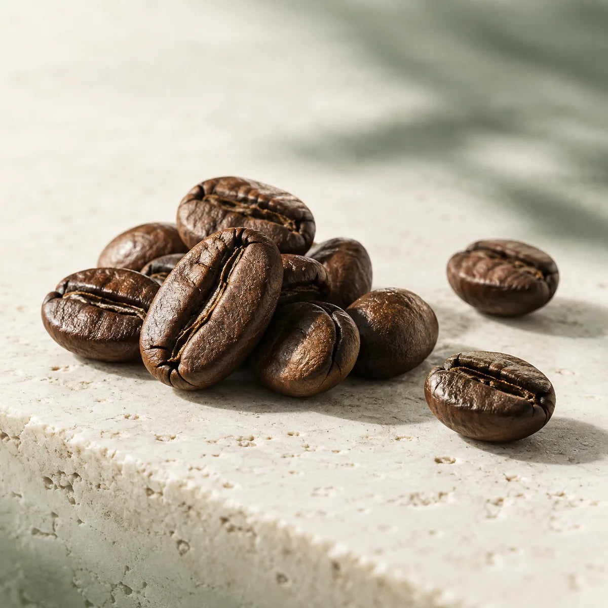 Cafeína y adenosina.